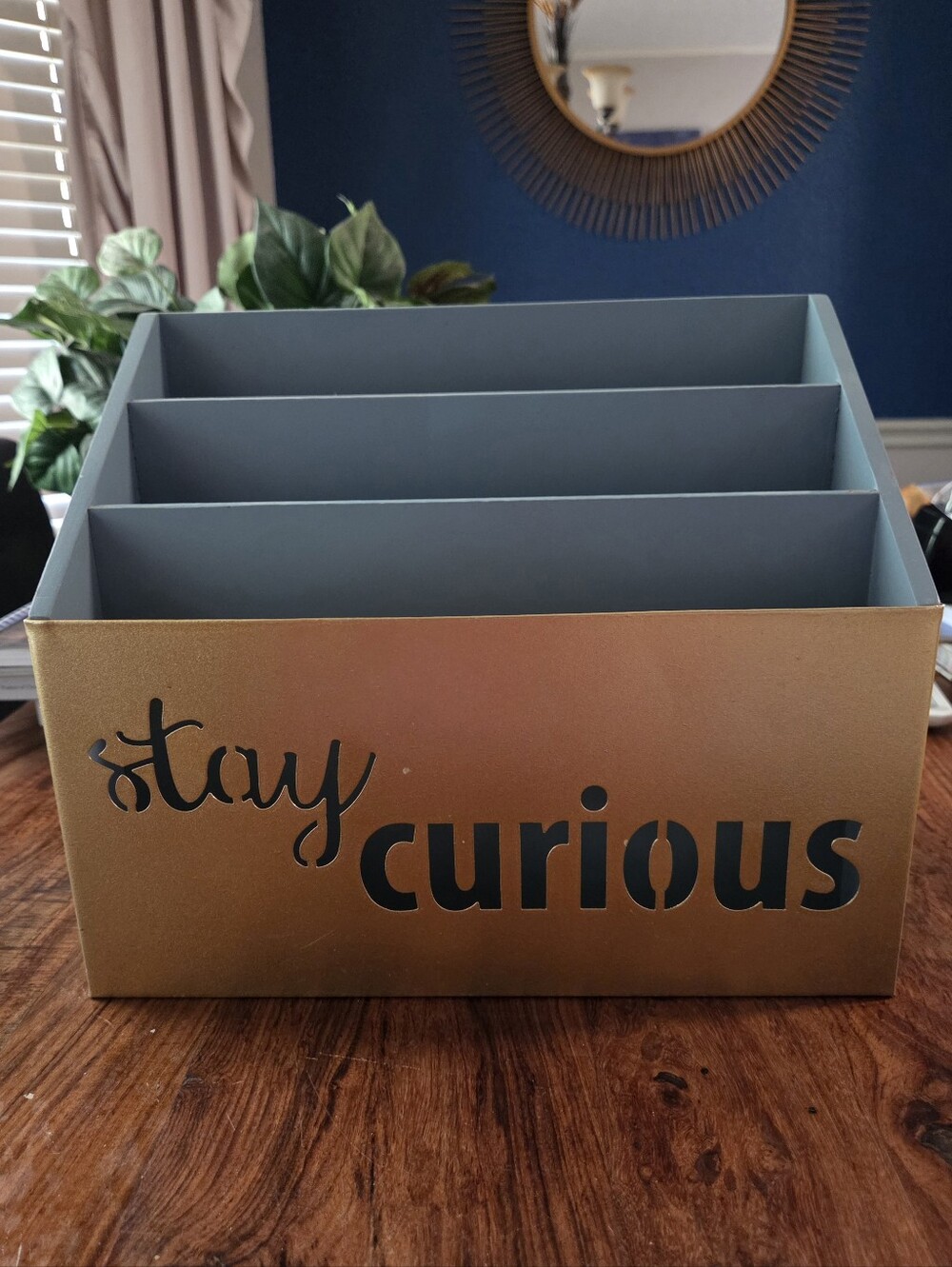 Stay Curious Gold & Gray Organizer
